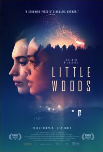 دانلود فیلم Little Woods 201822292-172027279