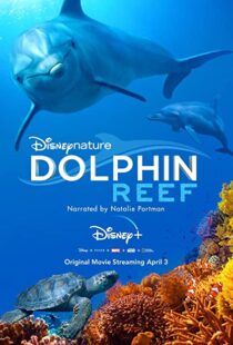 دانلود مستند Dolphin Reef 201838724-383035804