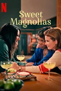 دانلود سریال Sweet Magnolias47511-1139388228