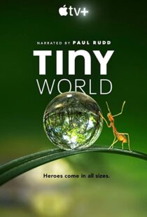 دانلود مستند Tiny World52124-454751486