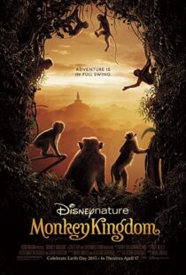 دانلود مستند Monkey Kingdom 201554583-1875665517