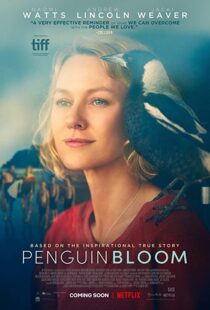 دانلود فیلم Penguin Bloom 202073302-1267177899