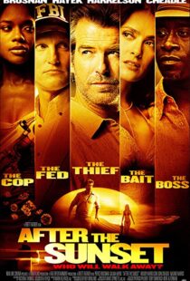 دانلود فیلم After the Sunset 200481826-1196889298
