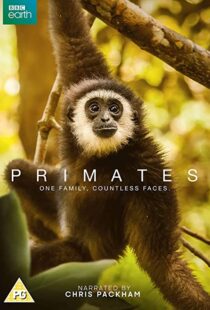 دانلود مستند Primates77865-1610799142