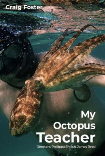 دانلود مستند My Octopus Teacher 202082343-1397521154