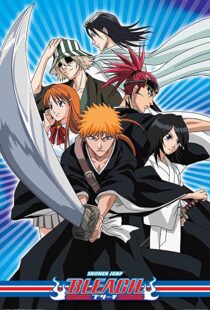 دانلود انیمه Bleach85638-721325366