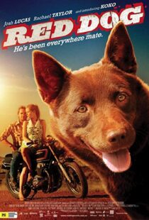 دانلود فیلم Red Dog 201187414-179303710