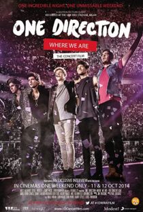 دانلود مستند One Direction: Where We Are – The Concert Film 2014100436-1376375262