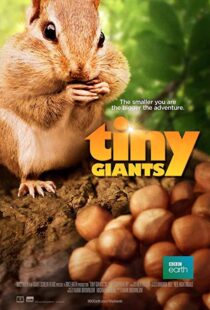 دانلود مستند Tiny Giants 3D 2014109664-584058429