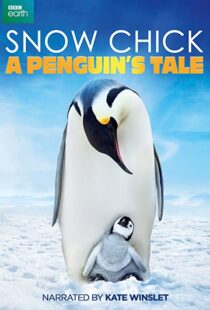 دانلود مستند Snow Chick: A Penguin’s Tale 2015109604-887935029