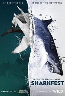 دانلود مستند Man vs. Shark 2019104475-488661926