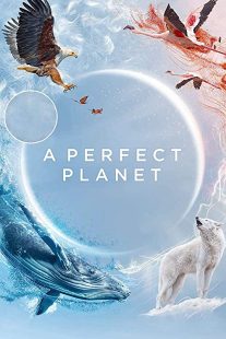 دانلود مستند A Perfect Planet231098-1404956721