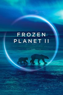 دانلود مستند Frozen Planet II268784-968393483