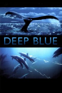 دانلود فیلم Deep Blue 2003333037-648646941