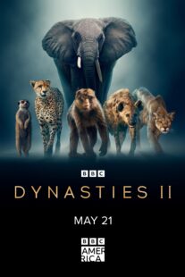 دانلود سریال Dynasties370061-993176777