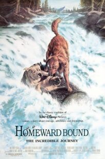 دانلود فیلم Homeward Bound: The Incredible Journey 1993371118-1010182780