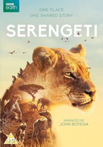 دانلود سریال Serengeti378761-422578082
