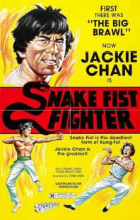 دانلود فیلم Snake Fist Fighter 1973388650-1730315069
