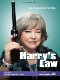 دانلود سریال Harry’s Law393952-242360954