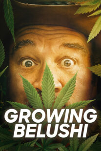 دانلود سریال Growing Belushi400424-974821594