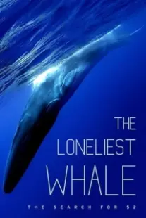 دانلود فیلم The Loneliest Whale: The Search for 52 2021403098-1031731301
