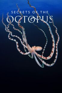 دانلود سریال Secrets of the Octopus401286-1174040744