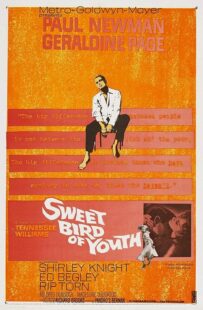دانلود فیلم Sweet Bird of Youth 1962415738-632417178