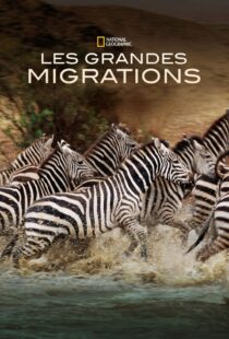 دانلود مستند Great Migrations417146-1892583759