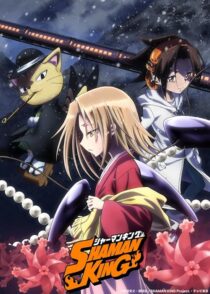 دانلود انیمه Shaman King422246-1367251024