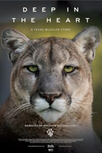 دانلود مستند Deep in the Heart: A Texas Wildlife Story 2022421545-1698692473