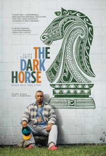 دانلود فیلم The Dark Horse 2014423794-527299448