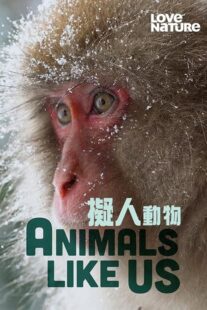 دانلود مستند Animals Like Us423066-1182718837