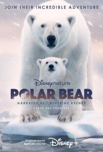 دانلود مستند Polar Bear 2022422974-1715861552