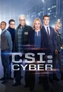 دانلود سریال CSI: Cyber428329-1937554572
