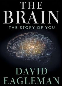 دانلود سریال The Brain with Dr. David Eagleman428613-1201183270