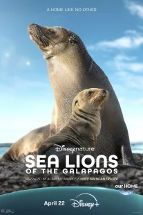دانلود مستند Sea Lions of the Galapagos 2025431056-491288920